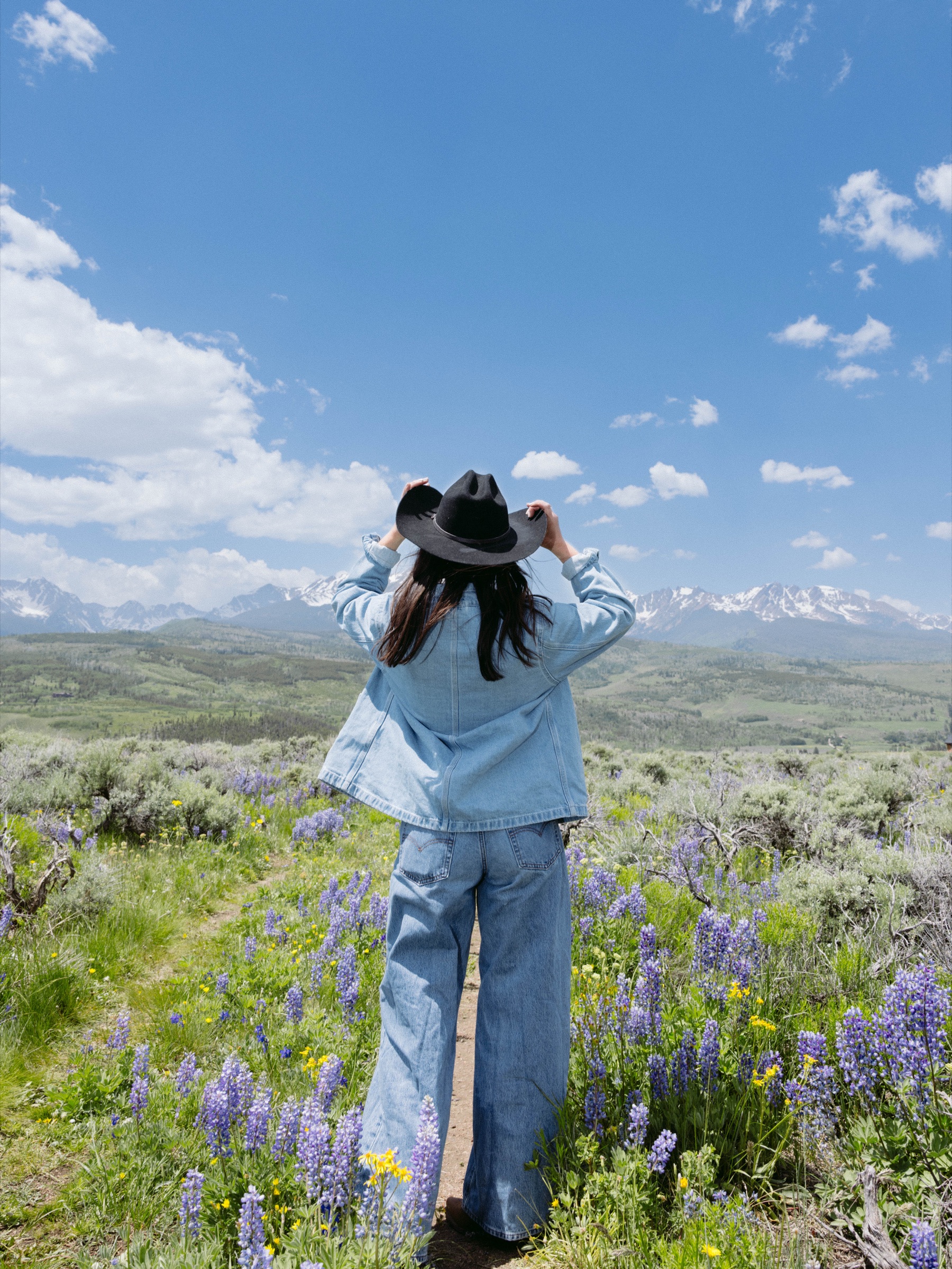 Model facing the Colorado mountains in a field of lupine