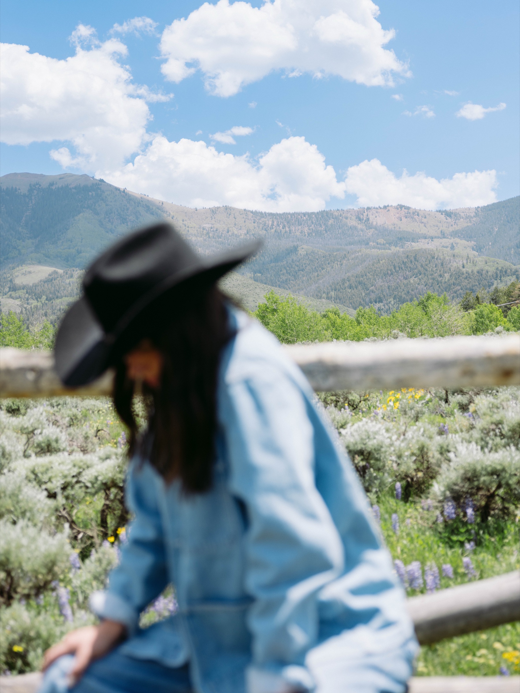 Blurred portrait with Colorado mountain range in background